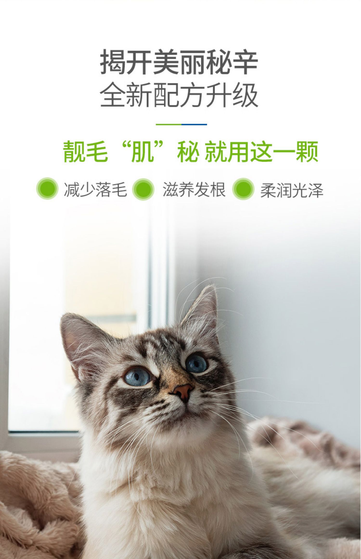 Meds cat lecithin 500g collagen cat đặc biệt chăm sóc tóc sáng màu lông mềm phospholipid chống rụng tóc - Cat / Dog Health bổ sung Sữa Precaten cho mèo