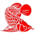 晨阳水族