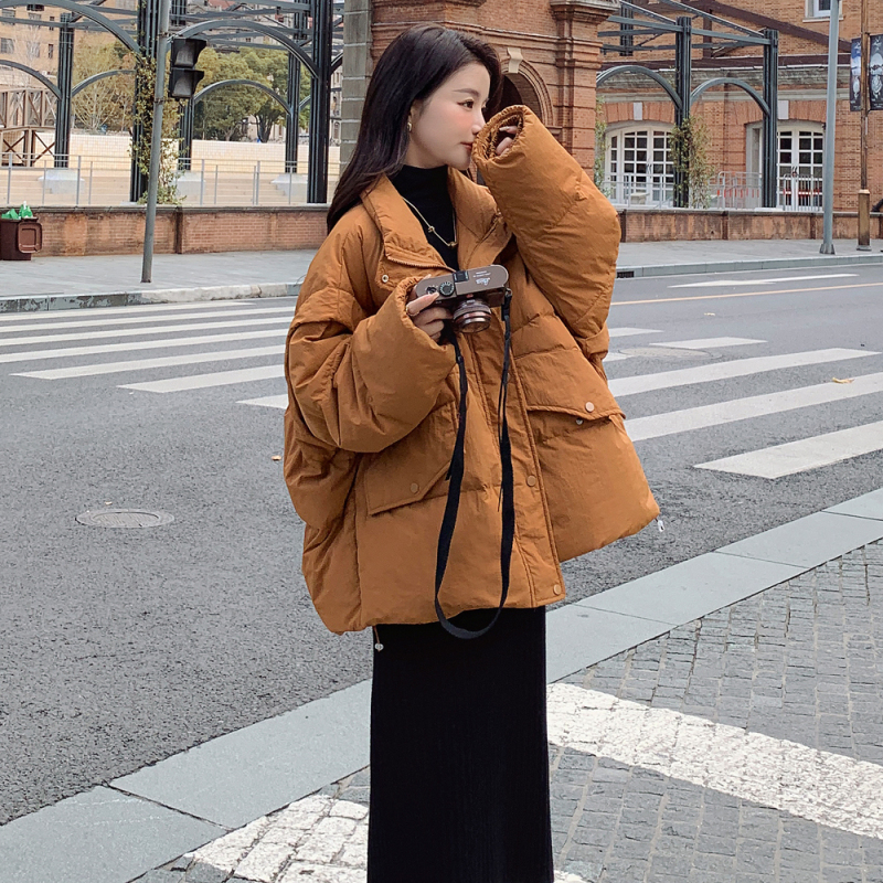 Caramel Color Stand-Up Collar down Jacket for Women, Winter Short Style for Petite Figures, 2026 New Korean Version, Loose Fit, 90% White Duck down Thick Coat Caramel Color Stand-Up Collar down Jacket for Women, Winter Short Style for Petite Figures, 2026 New Korean Version, Loose Fit, 90% White Duck down Thick Coat