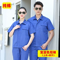 Хлопковые синие нарукавники с молнией, комплект, штаны, короткий рукав