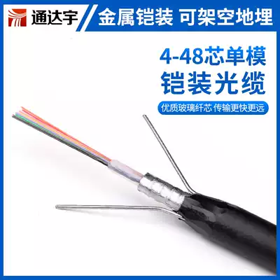 Outdoor armored optical fiber 4-core 8-core 12-core optical cable center tube double steel wire optical brazing outdoor optical cable GYXTW single-mode