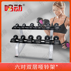 Commercial Gym Double-Layer 10-Pair Dumbbell Rack Gym Dumbbell Holder Fitness Equipment Dumbbell Rack