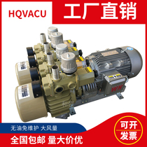 Oil-free dry rotary vane pumping electric pump industrial alternative ORION pump good Liwang vacuum pump KRX3567A