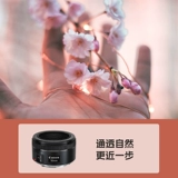 Canon EF50MM 1.8 STM Sketch третьего поколения M50 Портрет фиксированный -фокус большой большой SLR SLR 50 1,8