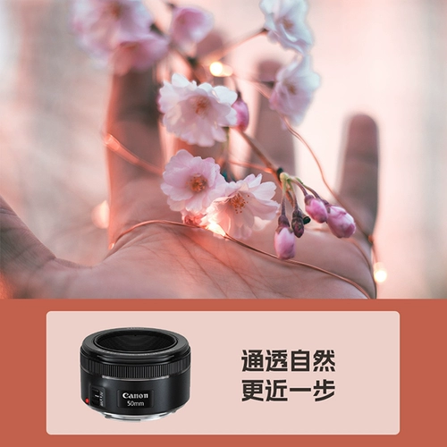 Canon EF50MM 1.8 STM Sketch третьего поколения M50 Портрет фиксированный -фокус большой большой SLR SLR 50 1,8