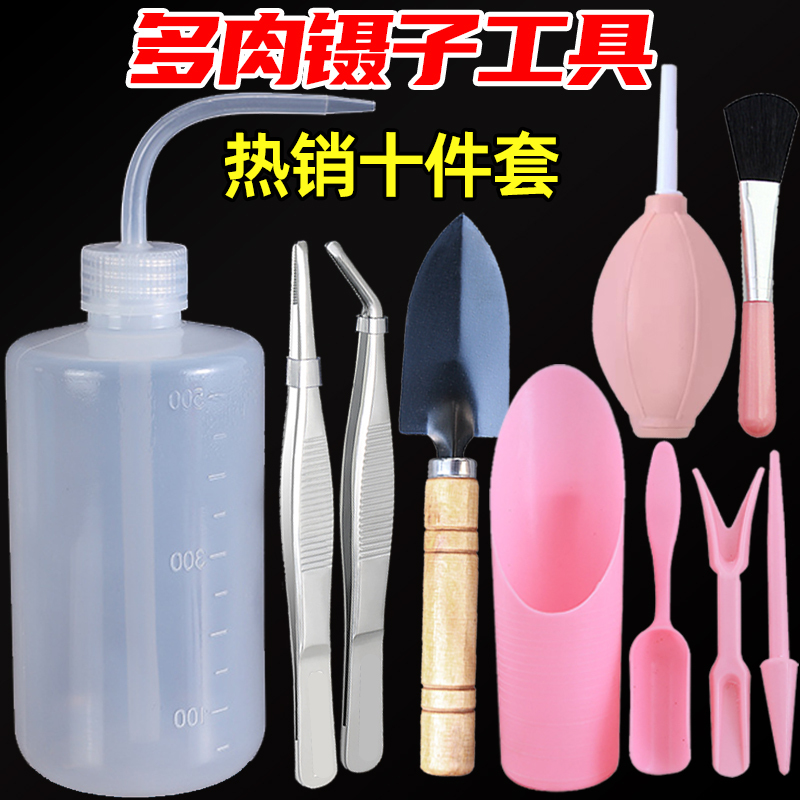 Succulent Tool Set Stainless Steel Planting Bent Spout Watering Can Air Blowing Brush Shovel Bucket Seedling Lifter Gardening Flower Care