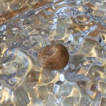 Jaina Hanmuni Buddhas solid son for the Gawu Box Stupa to hide