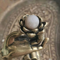  His Holiness Sivalis Son installed the Tibetan Gawu Offering Stupa