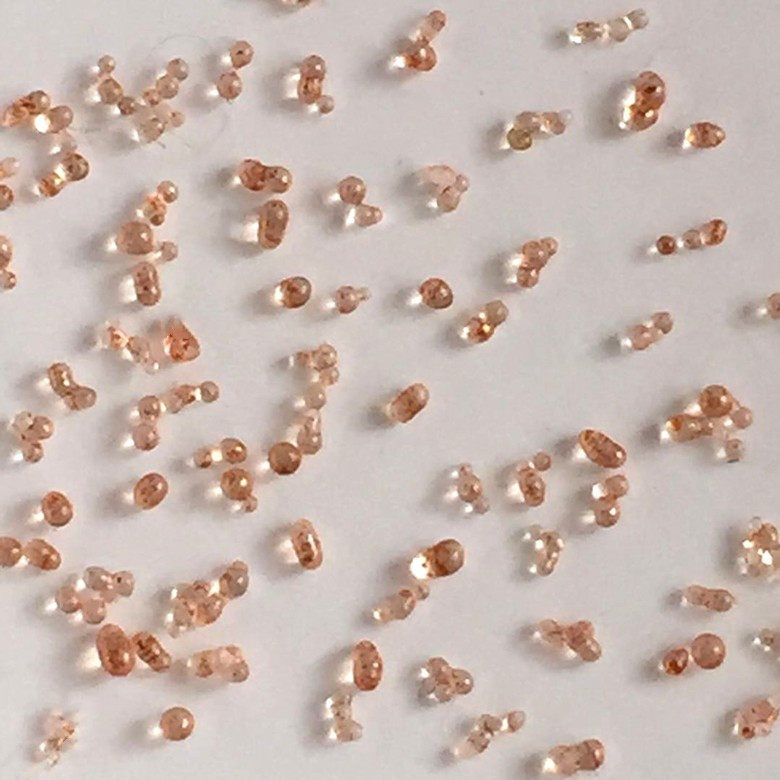 Lotus students, the sturdy son, the holdout for the Holly Tower special bond 19 9 yuan 200 pieces