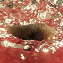  Shakyamuni Buddhas native strong son 4 6 cm unearthed open tower Knot Gawu Stupa knot product