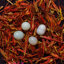 The division whey transparent color solid can be used to store the stupa 4-6MM special price bound white jade color