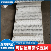Food grade plastic baffle chain plate conveyor belt seafood thawing plastic conveying chain plate hoist plastic chain plate