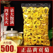 Chamomile tea 500g bubble water Fever Fever-level New Cargo Yellow Mountain Gongju Chrysanthemum Flowers with yellow Chrysanthemum Flower Tea