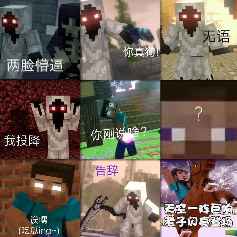 超华丽阿富汗犬一碰水就变了网：发菜？阿飘？ | 阿富汗猎犬| 狩猎野兔| 大纪元, image size:1000x1000