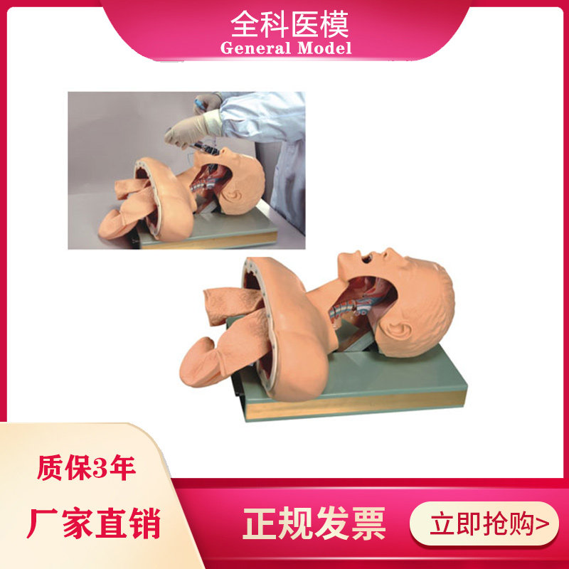 人体气管插管训练模型局部电子牙齿压迫报警急救训练模拟人J52
