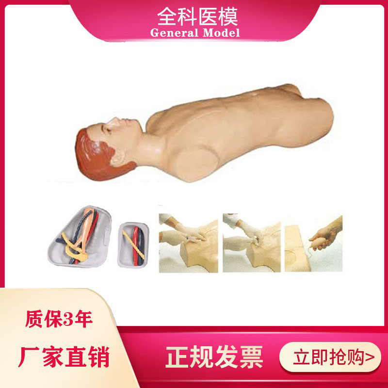 中心静脉穿刺注射躯干模型 股静脉穿刺模型 颈内锁骨下静脉穿刺模