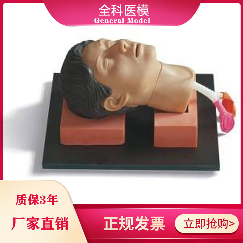 环甲膜穿刺和切开训练仿真模型气管切开插管训练头部模具