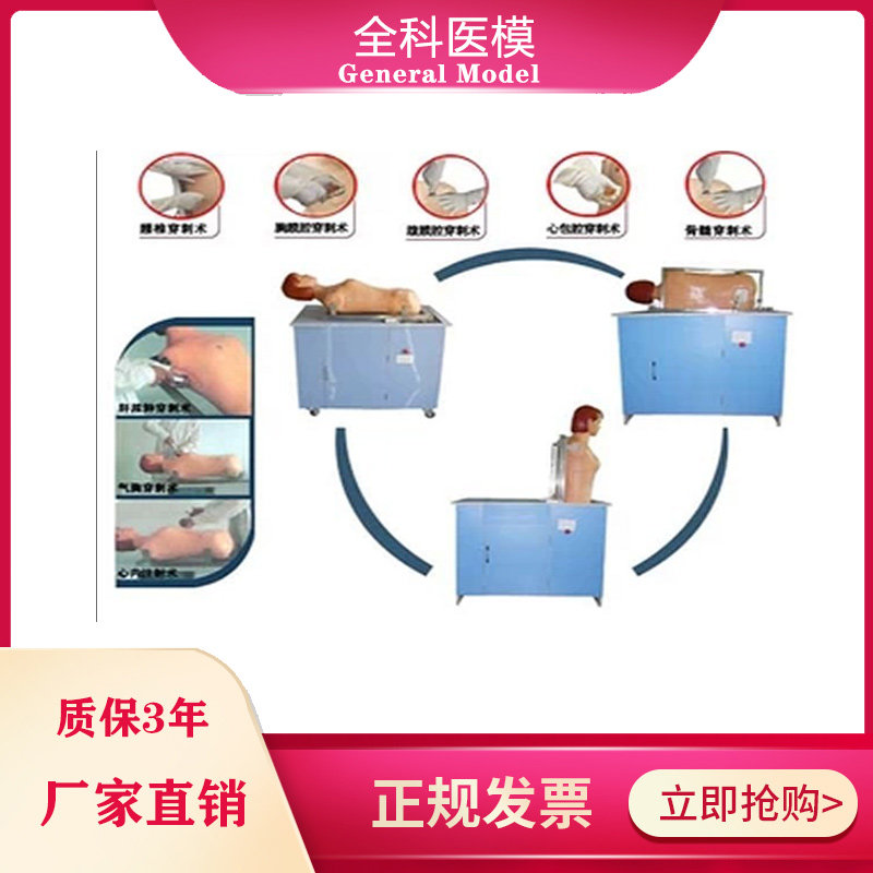 高级全自动多种穿刺叩诊电脑模型人胸腔腹腔腰椎骨髓气胸C-XⅡ