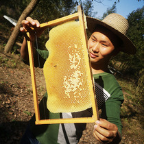 Great Bio Mountain roda Deep Mountain wild raw honey 100 nectar farmhouse Self-produced wild honeycombed honey 500g