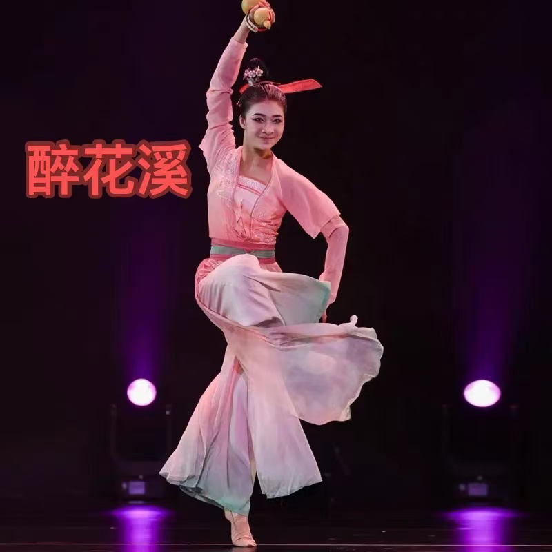 Classical Dance Costumes, Chinese Dance Drunken Huaxi's Same Style Dance Costumes, Elegant Practice, Art Test Performance, Taoli Cup