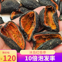 Canadas sea cucumber red pole for 500g light dry Icelandic Arctic ginseng wild dry stock Non-Liaoning black thorn sea cucumber