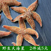 Sea Star Dry Goods Wild Great SeaStar Chinese Herbal Medicine Guangxi North Sea Terrific edible 250g Haipan Car Seafood Pot soup stock