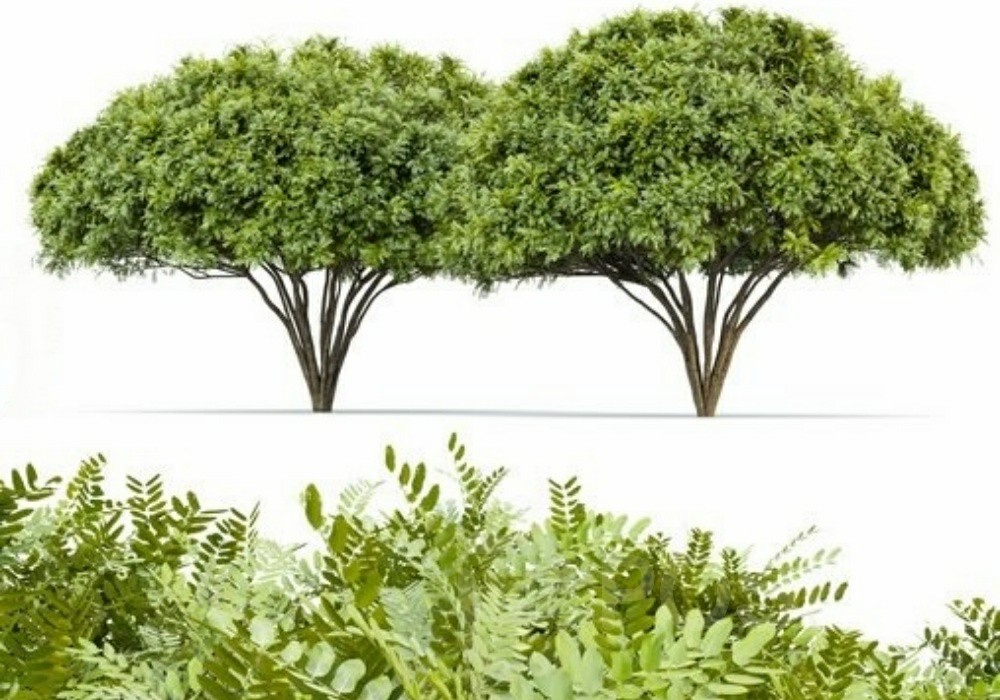 图片[1]-【3D模型】树木与灌木 3D 模型-PoseAe视频创意库