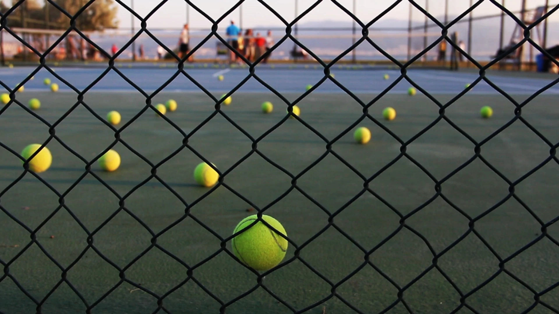 【实拍视频】网球场散落的网球-PoseAe