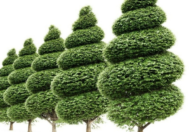 【3D模型】螺旋造型树 3D 模型-PoseAe