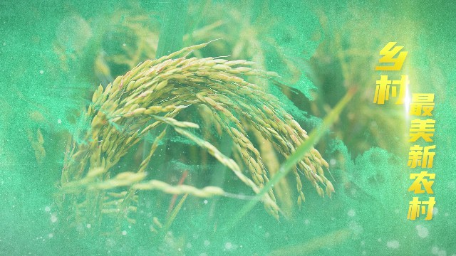 【PR模板】绿色水墨乡村图文展示PR模板-PoseAe-PoseAe