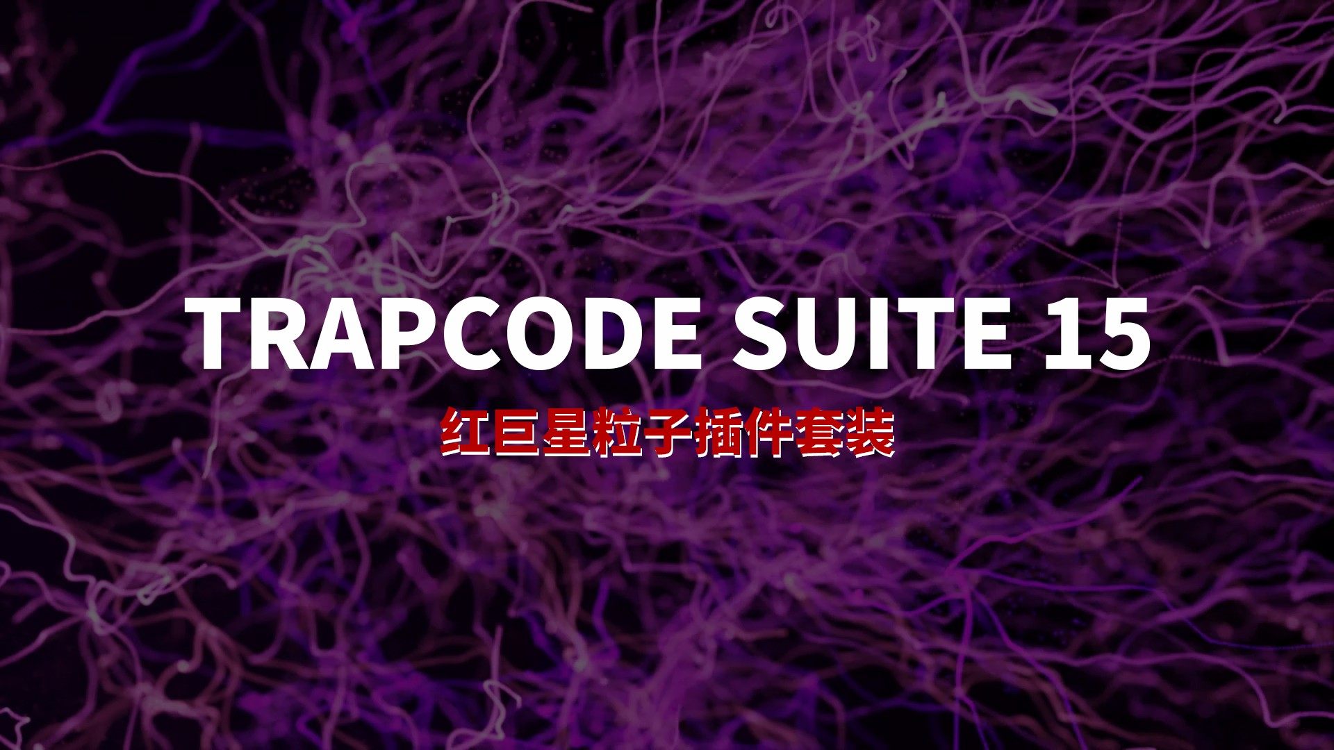  AE AE UnMult WIN MAC PoseAe