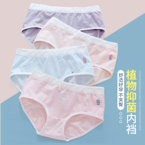 Big Kids Panties Cotton Girls Antibacterial Briefs Little Girls 12-15 Years Old 13 Junior High School Kids Shorts 9