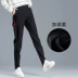 Mùa xuân và quần nữ 2019 mới quần âu nữ thể thao quần lửng mỏng học sinh Hàn Quốc quần harem - Quần Harem Quần Harem