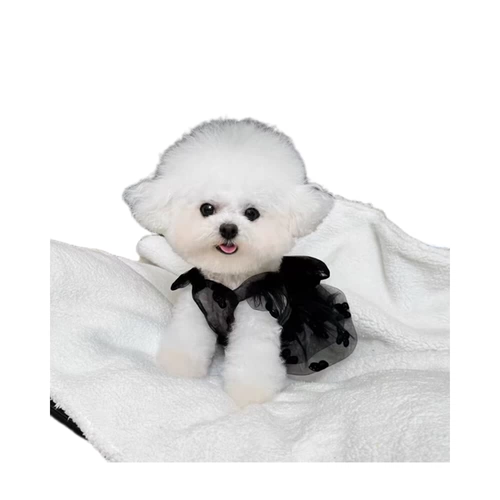 Милое кружевное модное платье без рукавов, кружевное платье