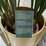 10G SPOT Новое филиппинское тост бренда антилопы, дух с разрешением Phlegm, настоящий оригинал