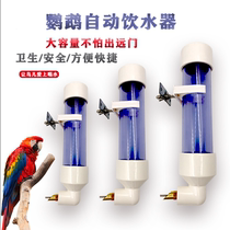Parrot automatic drinking water drinker with needle feeder water glass in large parrot bird hamster rabbit Dutch pig