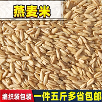Oat Rice bird food bird food Finch wild wheat oat kernel tiger skin parrot peony 1 piece 5kg