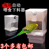Parrot automatic feeder bird feeder anti-sprinkler box anti-splashing food container bird bowl drinker tiger skin peony Xuan