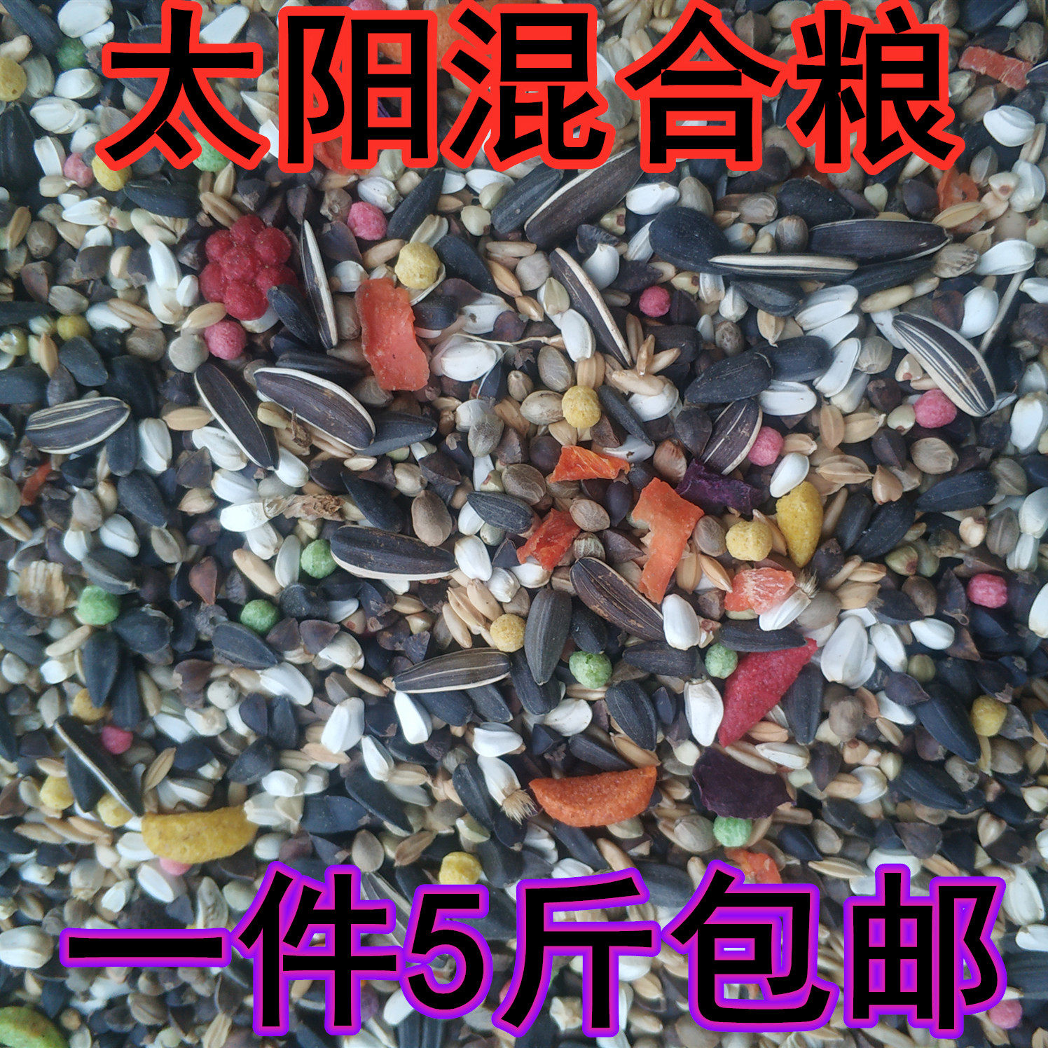 Medium Large Parrot Feed Small Sun Golden Sun Monk Sublime Parrot Eclectic Grey Parrot Eclectic Anemone Bird Food 5 Cati