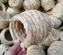 Bird cohorts choreography cohorts and cohorts of parrot nest coconut cohorts nest birds nest for parrot nest supplies