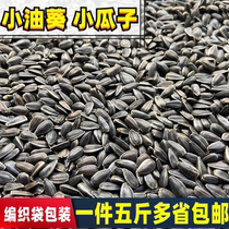 High quality parrot grain bird grain sunflower seed oil sunflower seed oil sunflower black melon seed Black Pearl small melon seed five catties tiger skin Xuanfeng monk Monk