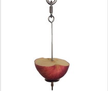 Small Medium Large Parrot Stainless Steel Fruit Fork Hook Corn Apple Real Fork Toy Fork Bird Cage Accessories Bird Supplies