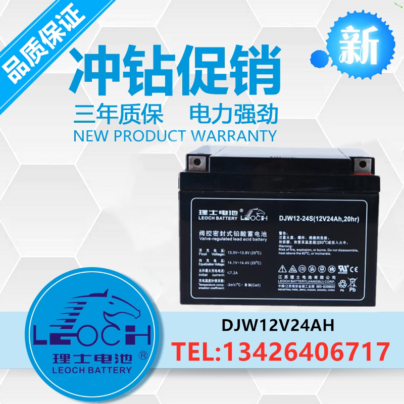 LEOCH Leoshi battery DJW12-24S 12V24AH 20HR DC screen battery UPS power battery