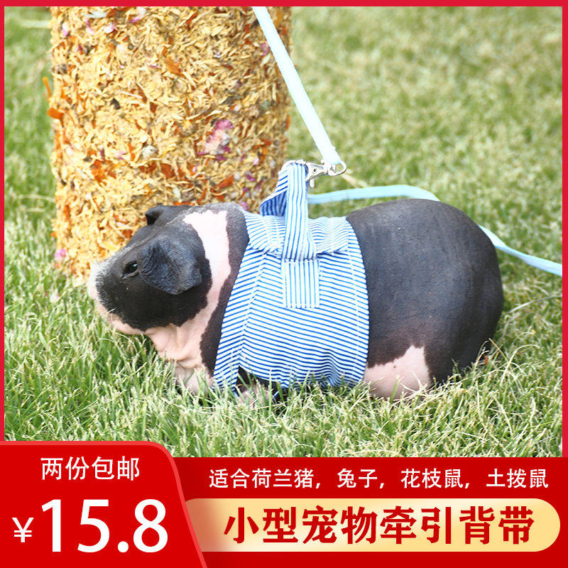 Guinea pig traction rope baby rabbit traction holding baby bag marmot traction rope hairless dolphin traction clothes