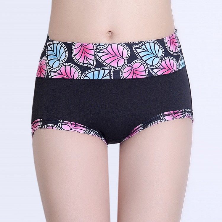 Slip Moyen-âge simple en coton - Ref 653830 Image 12