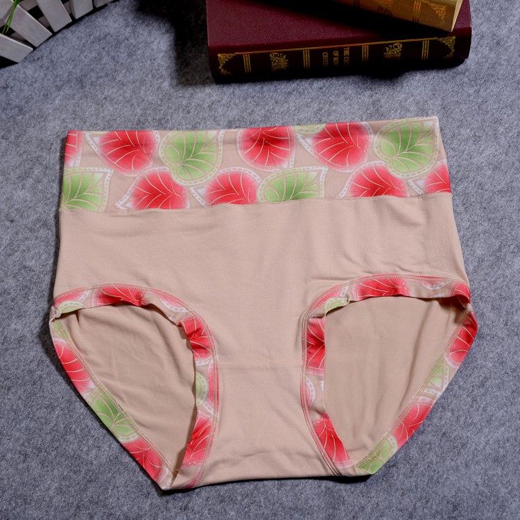 Slip Moyen-âge simple en coton - Ref 653830 Image 16