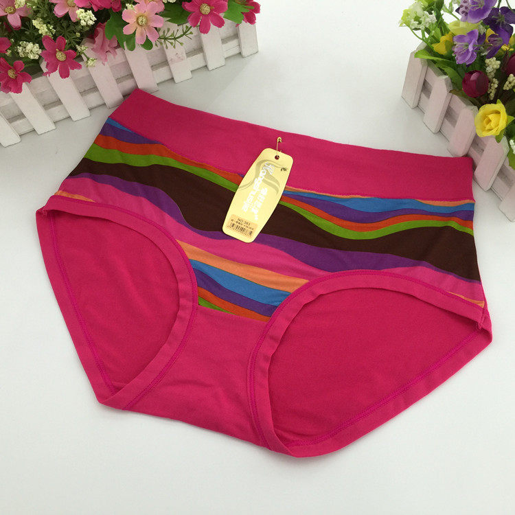 Slip Moyen-âge simple en coton - Ref 653925 Image 8