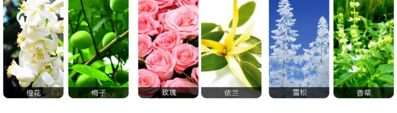 Nước hoa Furuila loại tinh dầu nước hoa nữ cao cấp kéo dài tươi mát và thanh lịch Thiết bị du lịch sinh viên 10ml chính hãng