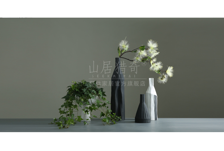 Nordic, black and white ceramic creative geometric vase household soft outfit floral living room table dry flower adornment furnishing articles