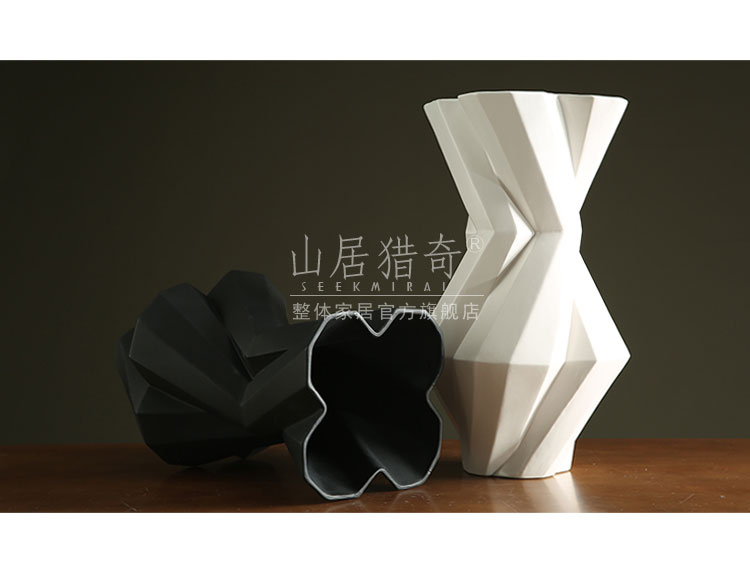 Modern living room between example art flower arranging furnishing articles Nordic geometric flower implement, black and white pigment ceramic vase